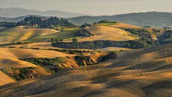 landsbygd, San Quirico, Orcia, Toscana, Italien foto