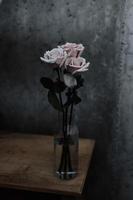 tre rosa rosor i glasvas på bordet foto