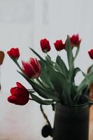 makrofotografering av röda tulpaner foto