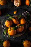 råa organiska satsuma apelsiner