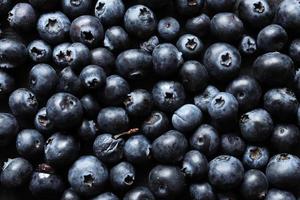 fotografering av blåbär för matbakgrund foto