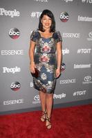 los angeles, sep 26 - sara ramirez på de tgit 2015 premiär händelse röd matta på de gracias madre på september 26, 2015 i los angeles, ca foto