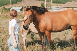 flicka petting en häst i de äng. förtroende och ömhet av de flicka till de häst foto