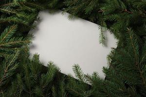 högtider hälsning kort eller baner sammansättning med tall träd grenar. glad jul bakgrund och Lycklig ny år 2023. foto