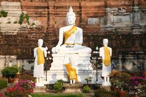buddha bilder på wat yai chai mongkhon i ayuthaya foto