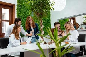 plantering för de framtida foto