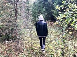 människor, svamp plockare i värma kläder promenad i en vandra genom de höst skog med träd i de natur längs de gräs och löv foto