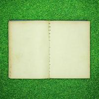gammal bok öppen på grön gräs bakgrund foto