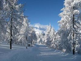 förtrollade landskap efter kraftigt snöfall foto