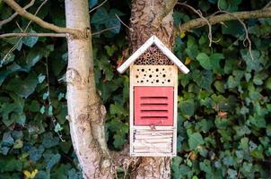 insekter hotell med tak och hål hängande på träd foto