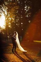 vackra bröllop par kramar i parken med solen gloror