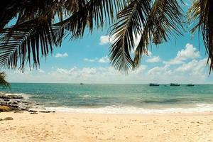 tropiskt kokosnötsblad palmträd på stranden med solljus på blå himmel hav och hav moln och turistbåt bakgrund - sommarsemester hav och natur resor äventyr foto