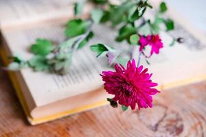 lila krysantemum på en bok, på en trä- tabell. estetik med blommor och en bok. skön blomma på en trä- tabell. foto