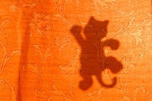 katt silhuett från solljus på ridå, suddig bakgrund foto