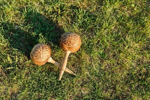 maracas. traditionell musikalisk instrument tillverkad av naturlig material lögn på de grön gräs. foto