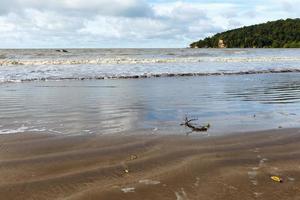 övergiven strand med gren på sand och hav vatten foto