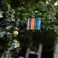 klädnypor på en rep hängande utanför hus och äpple träd foto