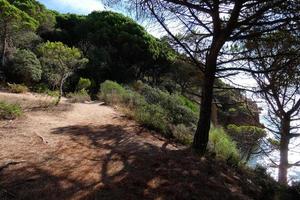 tallar, stenar och klippor på de katalansk costa brava i de medelhavs hav foto