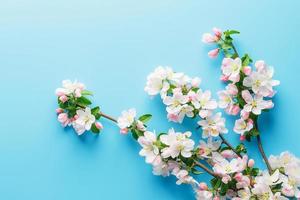blomning vår sakura på en blå bakgrund med Plats för en hälsning meddelande. de begrepp av vår och mors dag. skön delikat rosa körsbär blommor i springtime foto
