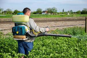en jordbrukare sprayer kemikalier på en potatis plantage fält. kontrollera av använda sig av av kemikalier växande mat. ökade skörda. skydd av kultiverad växter från insekter och svamp infektioner. foto