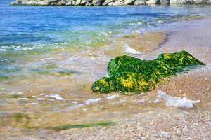 grön alger på de hav Strand och stenar foto