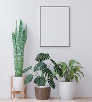 levande rum på de vit vägg, liten träd minimal stil ,ram form falsk upp - 3d tolkning - foto
