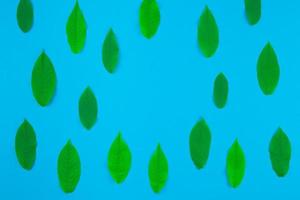 platt lägga mönster med färsk grön löv foto