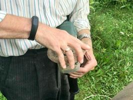 en man innehar i hans hand en disk av en cirkel Begagnade för en slipning maskin för slipning och putsning ytor från olika material trä, metall, plast, sten foto
