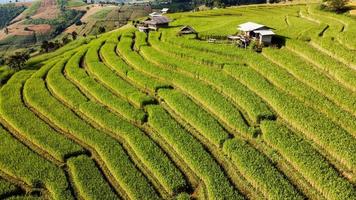 antenn se av ris terrass på förbjuda pa bong piang i chiang mai thailand foto