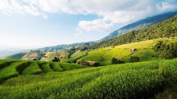 landskap av ris terrass på förbjuda pa bong piang i chiang mai thailand foto