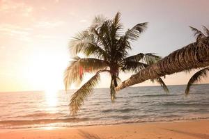 vacker solnedgång tropisk strand med palmträd och blå himmel för resor i semesteravslappningstid, fotostil vintage foto