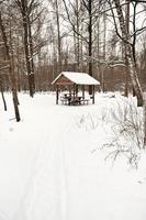 snö täckt trä- paviljong i urban parkera foto