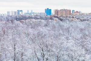 snö skog och stad byggnader i vinter- foto