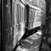 leksak tåg rör på sig på berg backe, skön se, ett sida fjäll, ett sida dal rör på sig på järnväg till de kulle, bland grön naturlig skogs.leksak tåg från kalka till shimla i Indien-svart och vit foto