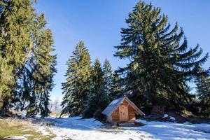 vinter- på de berg foto