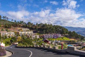 cabo girao topp madeira ö portugal foto