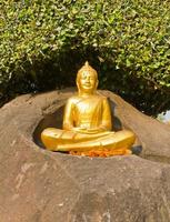 staty av buddha foto