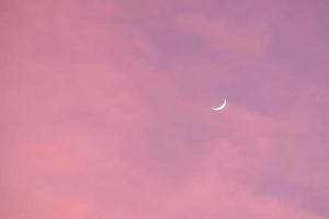 halv måne i de morgon- på rosa himmel foto