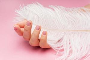 kvinna hand med slät hud och mjuk struts fjäder på rosa bakgrund foto