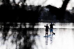 sydney, australien, 2020 - två personer står upp paddleboarding foto