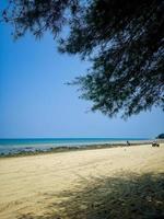 se på de strand med vit sand, hav vågor, och blå himmel. också sett är en räka tall träd som har de latin namn casuarina equisetifolia foto