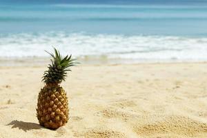 ananas på de strand foto