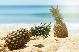 ananas på de strand foto