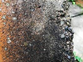 sten textur. sida del av en sten granit ringa. grå, orange bakgrund Färg. de textur är heterogen, matt, med små stenar. naturlig textur foto