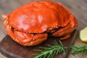 skaldjur ångad röd krabba eller kokt stenkrabba - färsk krabba med ingredienser citronrosmarin på träskiva foto