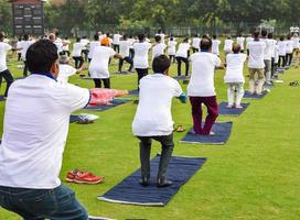 grupp yoga övning session för människor av annorlunda ålder grupper på cricket stadion i delhi på internationell yoga dag, stor grupp av vuxna delta yoga session foto
