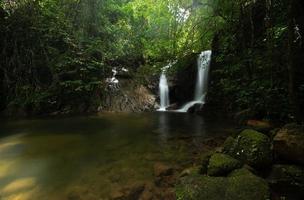 skön vattenfall strömmande från de berg i de skog. foto