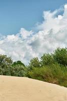 buskar på en sandig strand och en blå himmel med stackmoln moln, vertikal ram, sommar helgen, bakgrund för en skärmsläckare eller tapet för en skärm eller reklam, fri Plats för text foto