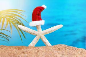 vit sjöstjärna med jultomten hatt på och av strand med hav och handflatan träd. begrepp av jul, ny år i varm länder. kopia Plats foto