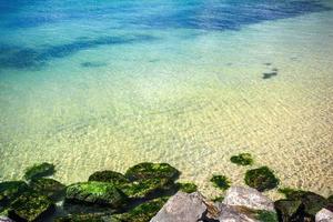 grön alger på de hav Strand och stenar foto